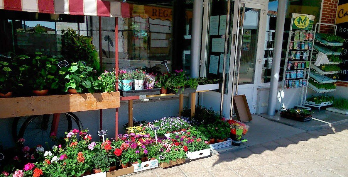 floristería con flores y plantas de jardín para enviar a domicilio por la cuarentena del coronavirus