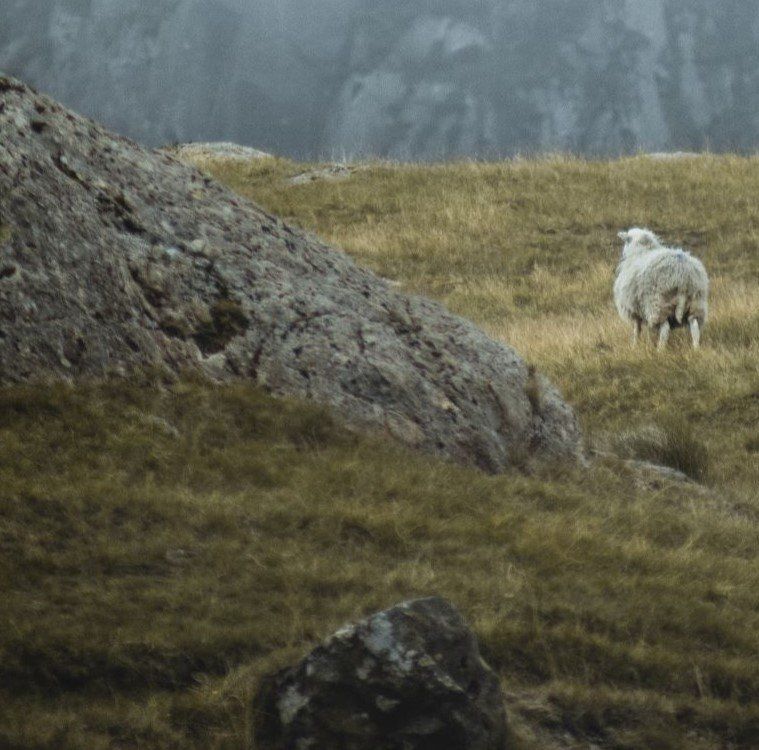 The Trouble with Jesus: His stories make God look desperately unsatisfied, on the prowl for more.