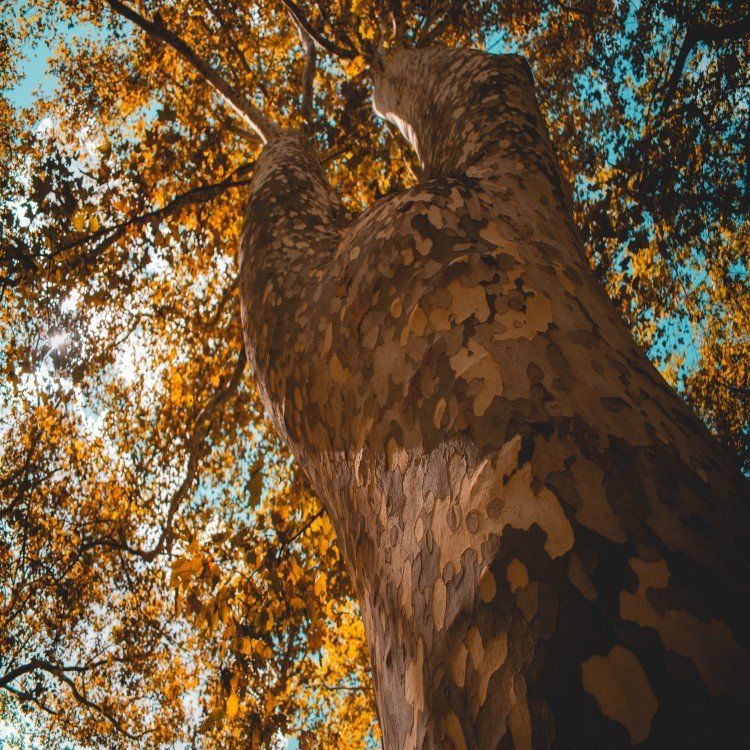 The Trouble with Jesus: what he did for one he wants from all.