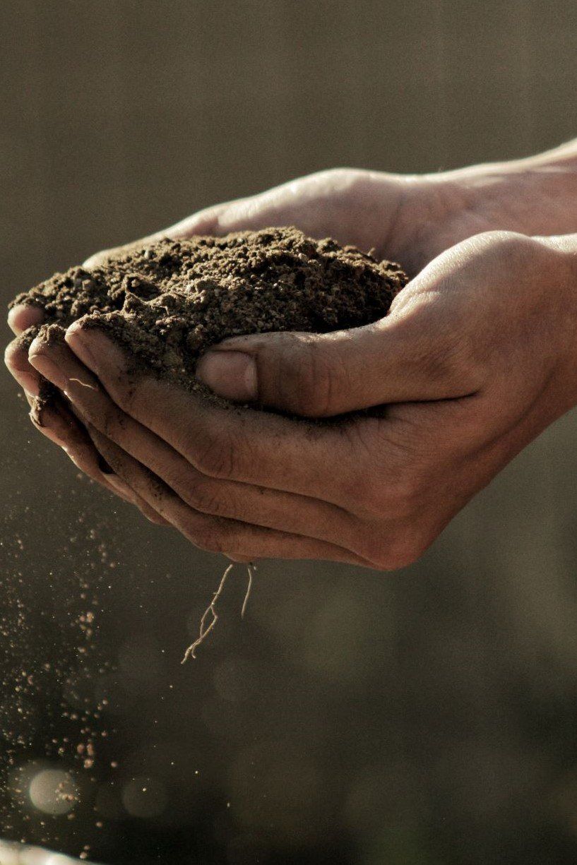 The Trouble with Jesus: He calls out those who think they can play in the dirt and not get dirty.