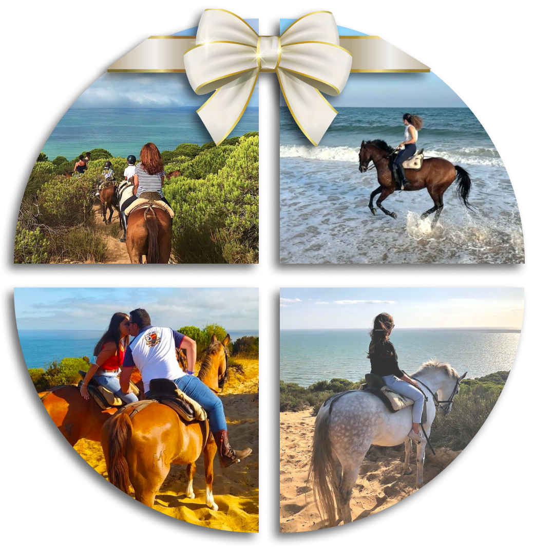Voucher gift for horse riding in Doñana, horseback rides on the beach in Huelva.