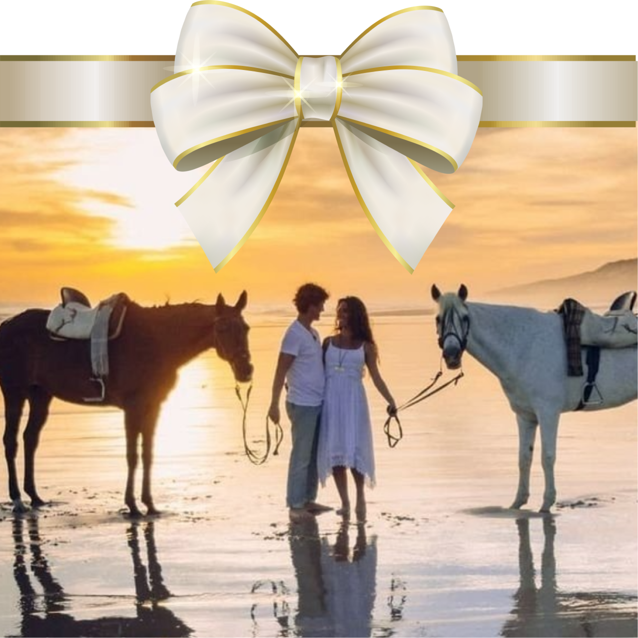 Gift vouchers for horse riding in Donana, Huelva.
