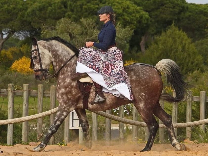 Sesiones de fotos profesionales con caballo en Doñana Hipica el Pasodoble en Matalascañas