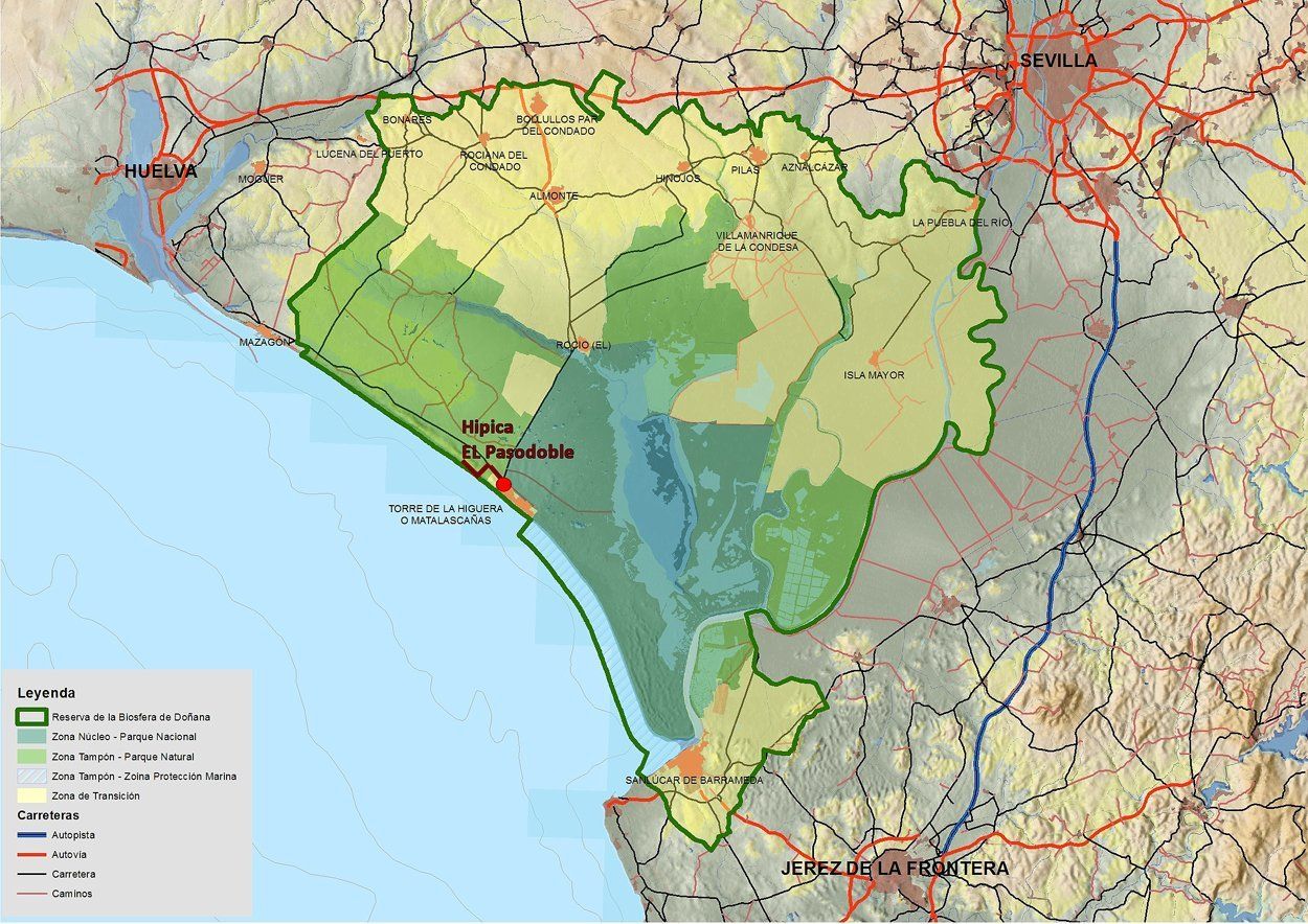 Equestrian center in Matalascañas on the Donana coastal.