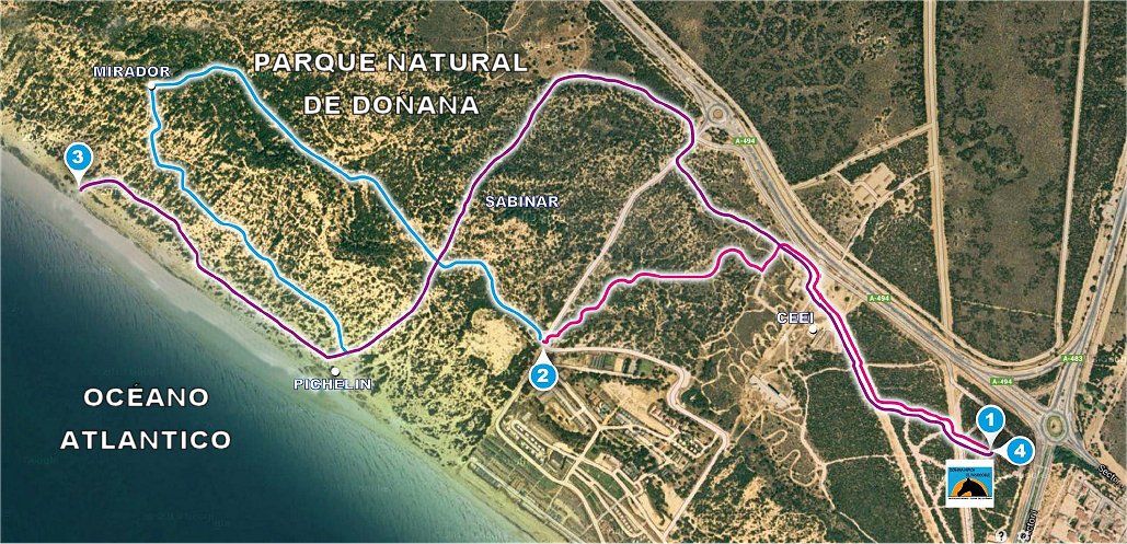 Paseos a caballo en el Parque Natural de Doñana, desde Hípica el Pasodoble en Matalascañas