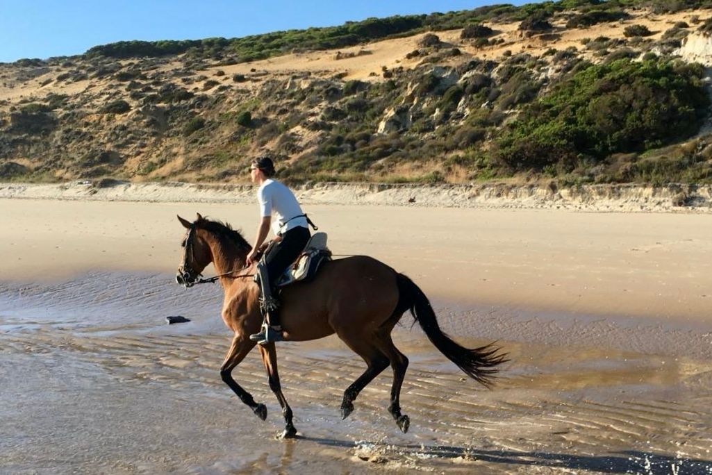 Mujer galopando a caballo por la playa de Matalascañas durante una excursión privada a caballo en Doñana.