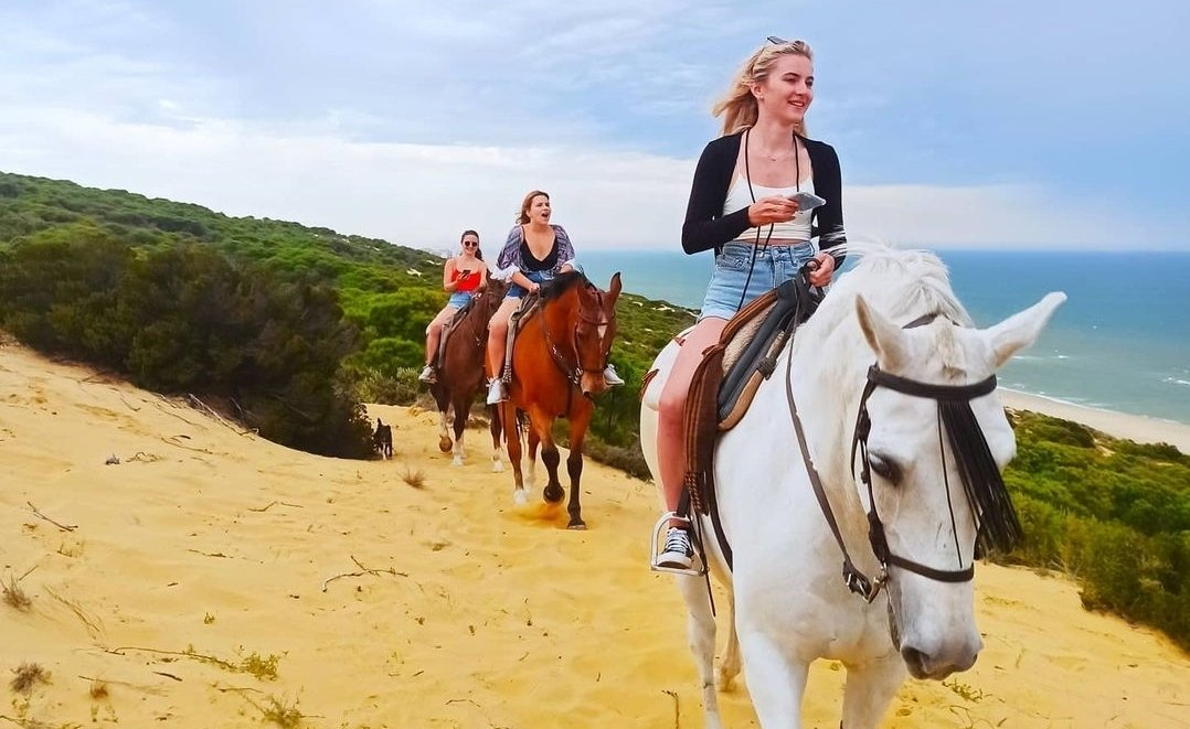 Doñana Hipica el Pasodoble: paseos y rutas a caballo en Matalascañas para principiantes y jinetes experimentados. Horseback rides in Huelva for beginners as well as for experienced riders.