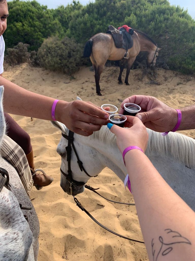 Private horse rides in Matalacanas beach in Huelva.
