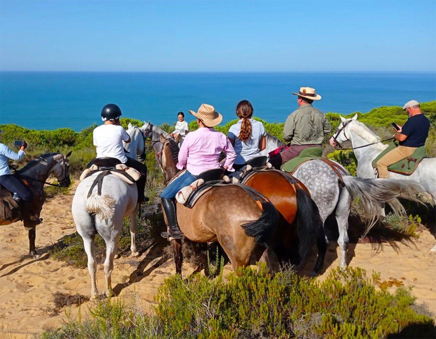 Horseback riding for groups in Huelva. Discover the Donana Park horseriding. Routes horse riding for beginners as well as for advanced rides.