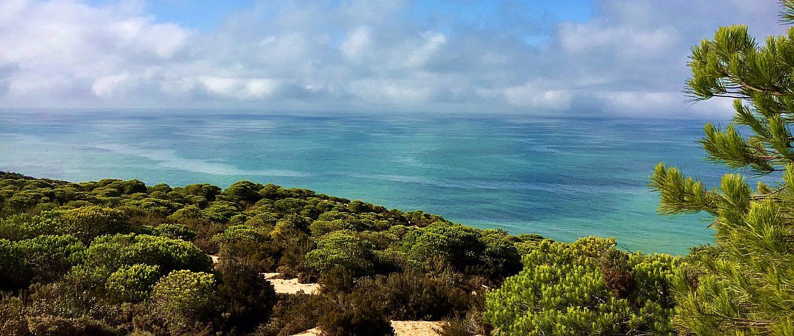 Dunas fósiles en el Parque de Doñana en su zona litoral Sur.