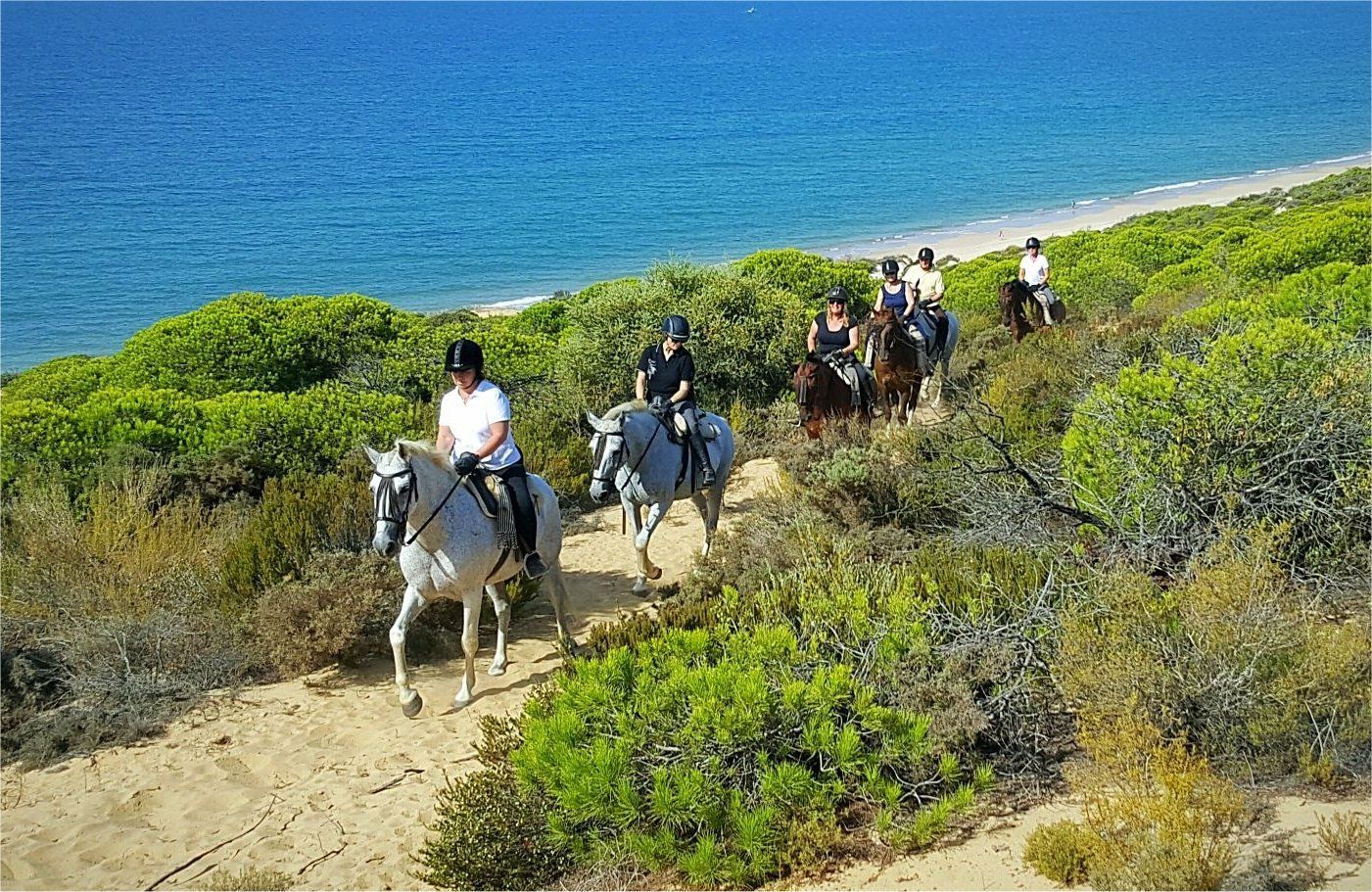 Doñana Hipica el Pasodoble rutas a caballo por la playa de Matalascañas en Huelva