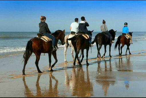 Paseos a caballo en Doñana