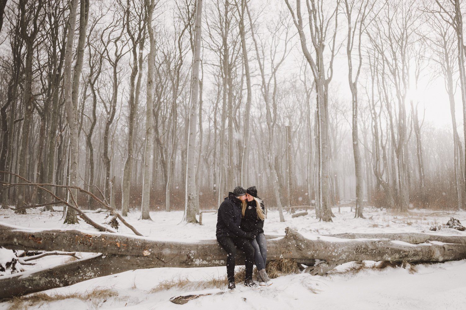 Paarfotografie Rostock knipsbar