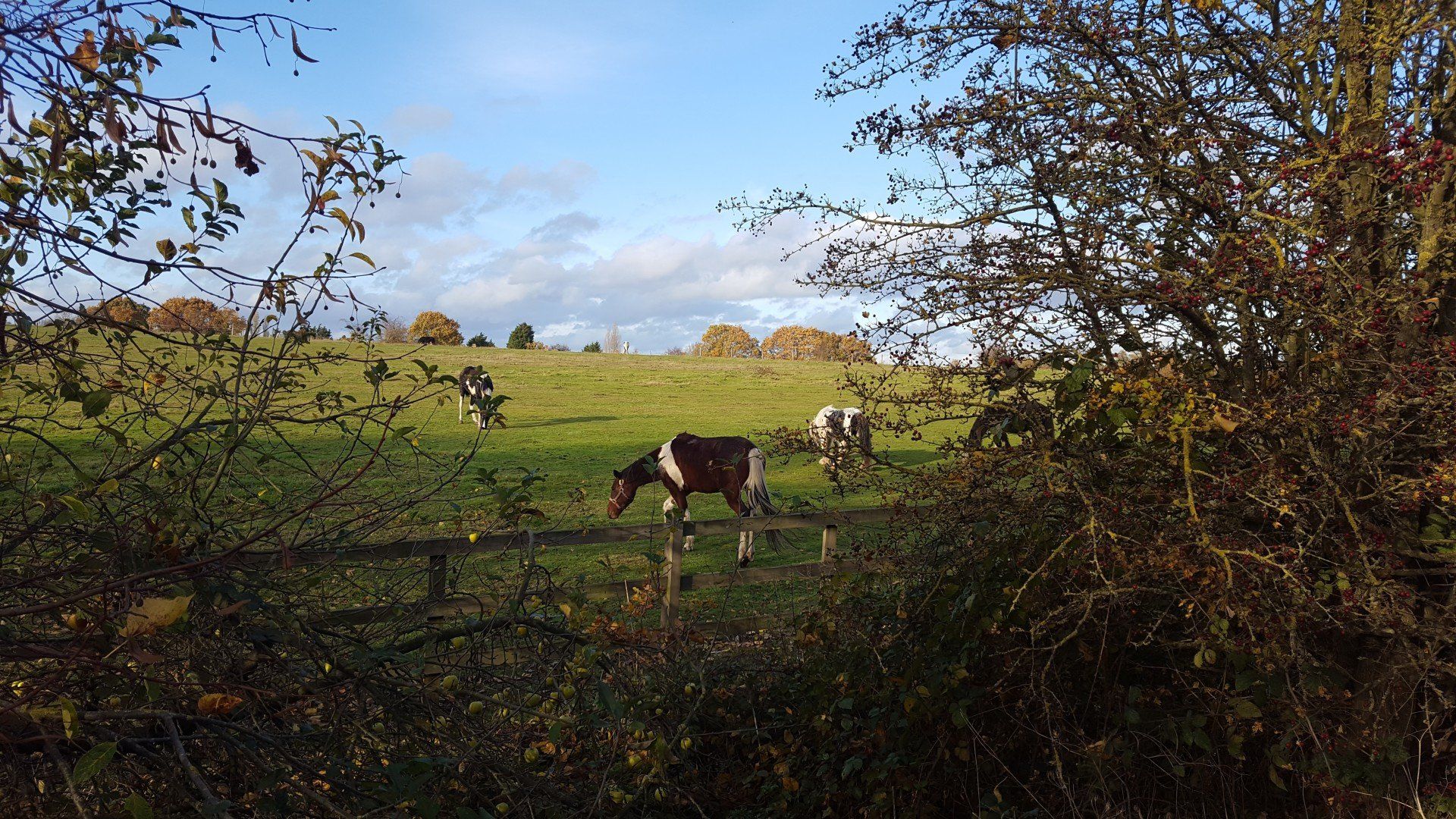 Scenic photos of the village