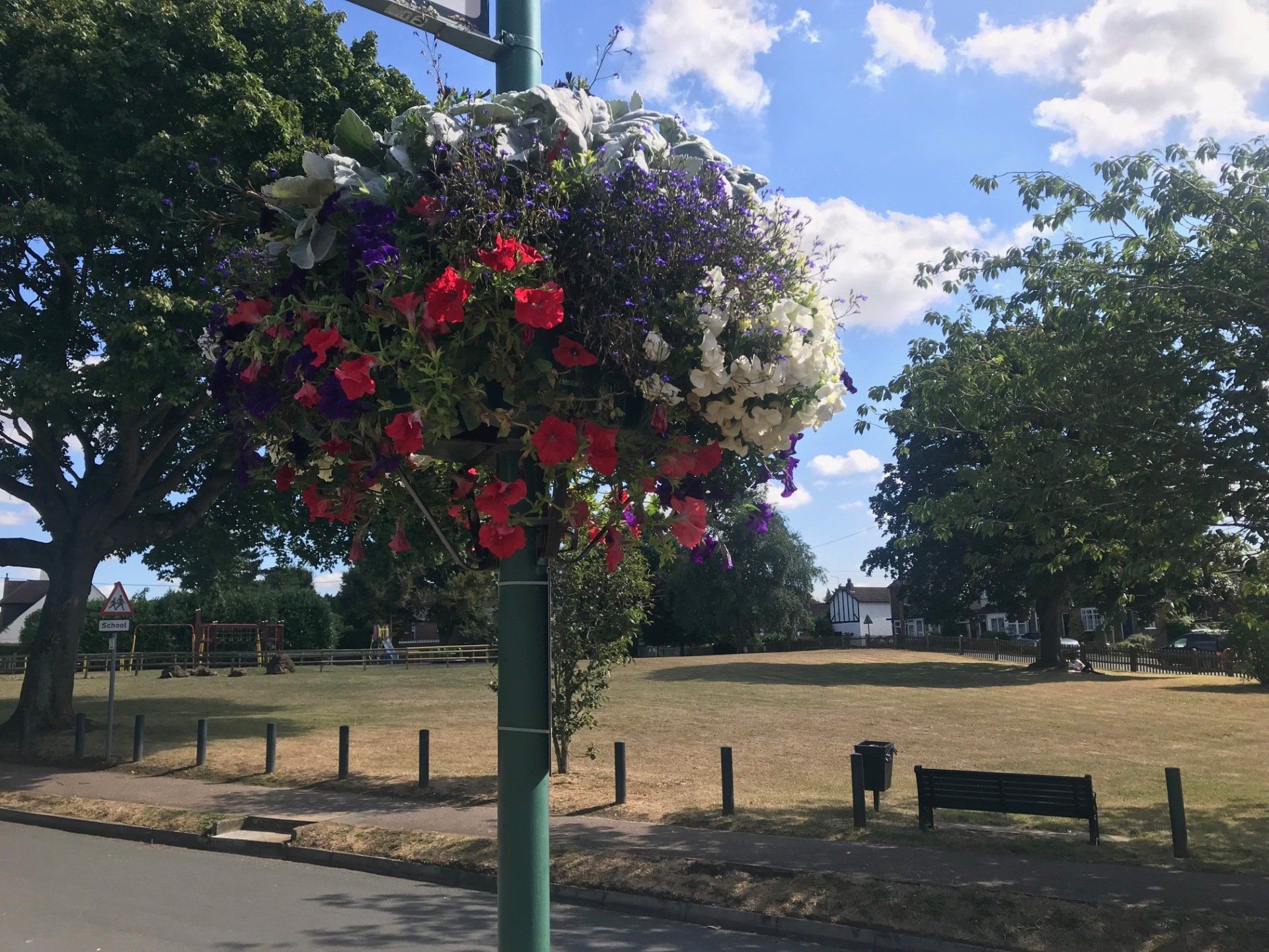 Photo of the flowers in hanging basket outside the Village Hall