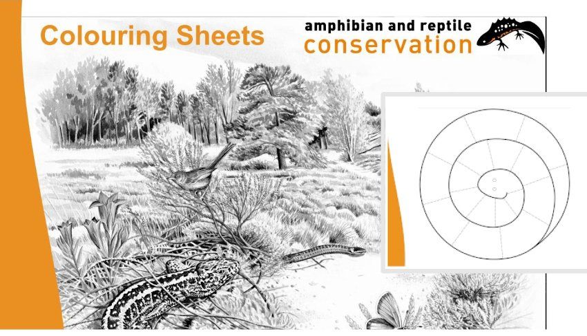 Vorschau Ausmalbilder