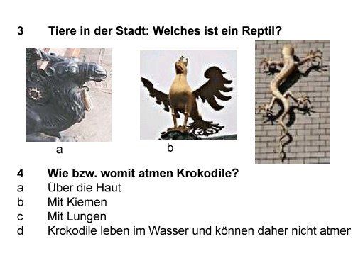 Eingefasster Eiablagehaufen © Ina Blanke Im