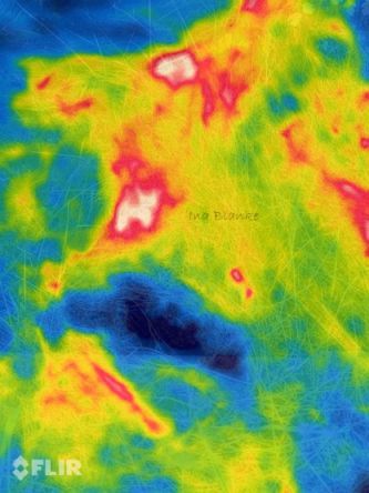 Hohe Temperaturunterschiede auf kleinem Raum. Altgraspolster im Wärmebild. © Ina Blanke. Altgras im Wärmebild.