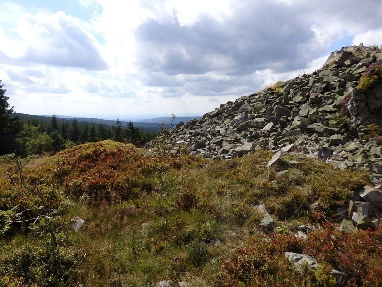 Wolfswarte im Oberharz. © Ina Blanke Wolfswarte auf dem Bruchbergmassiv im Oberharz.