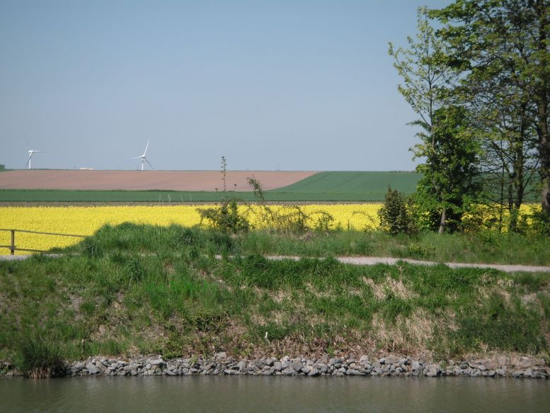 Gewellte Landschaft aus Sand. © Ina Blanke Brache, Getreidefeld und Wald.