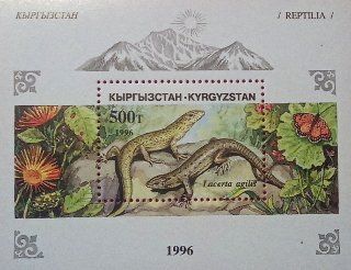 Briefmarke aus Kirgisistan