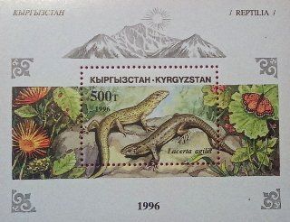Briefmarke aus Kirgisistan Briefmarke aus Kirgisistan