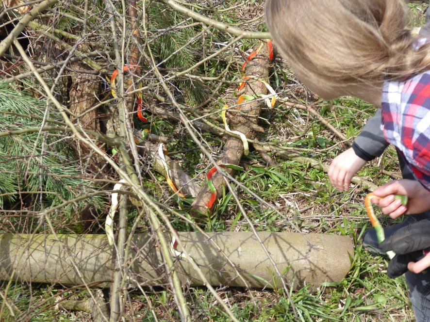 Wow - so viele Schlangen Mädchen entdeckt Weingummi-Schlangen