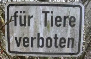 Schild Schild