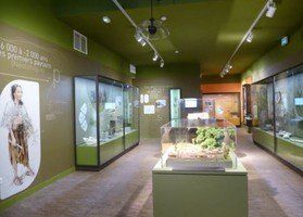 Visite de Grottes et musées Ardèche - Mas des Monèdes