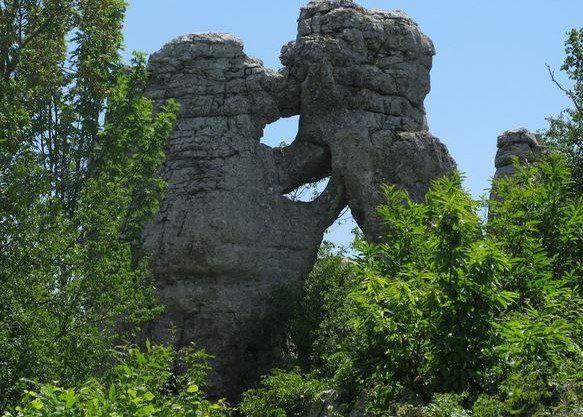 Bois de Païolive - Le Mas des Monèdes - Ardèche
