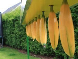 Fangspiel Catch the Bananas mieten Catch the bananas Fangspiel Reaktionsspiel kleine Eventmodule Eventspiele mieten Kinderanimation Spiele Ideen Frankfurt Spassfabrik Echzell