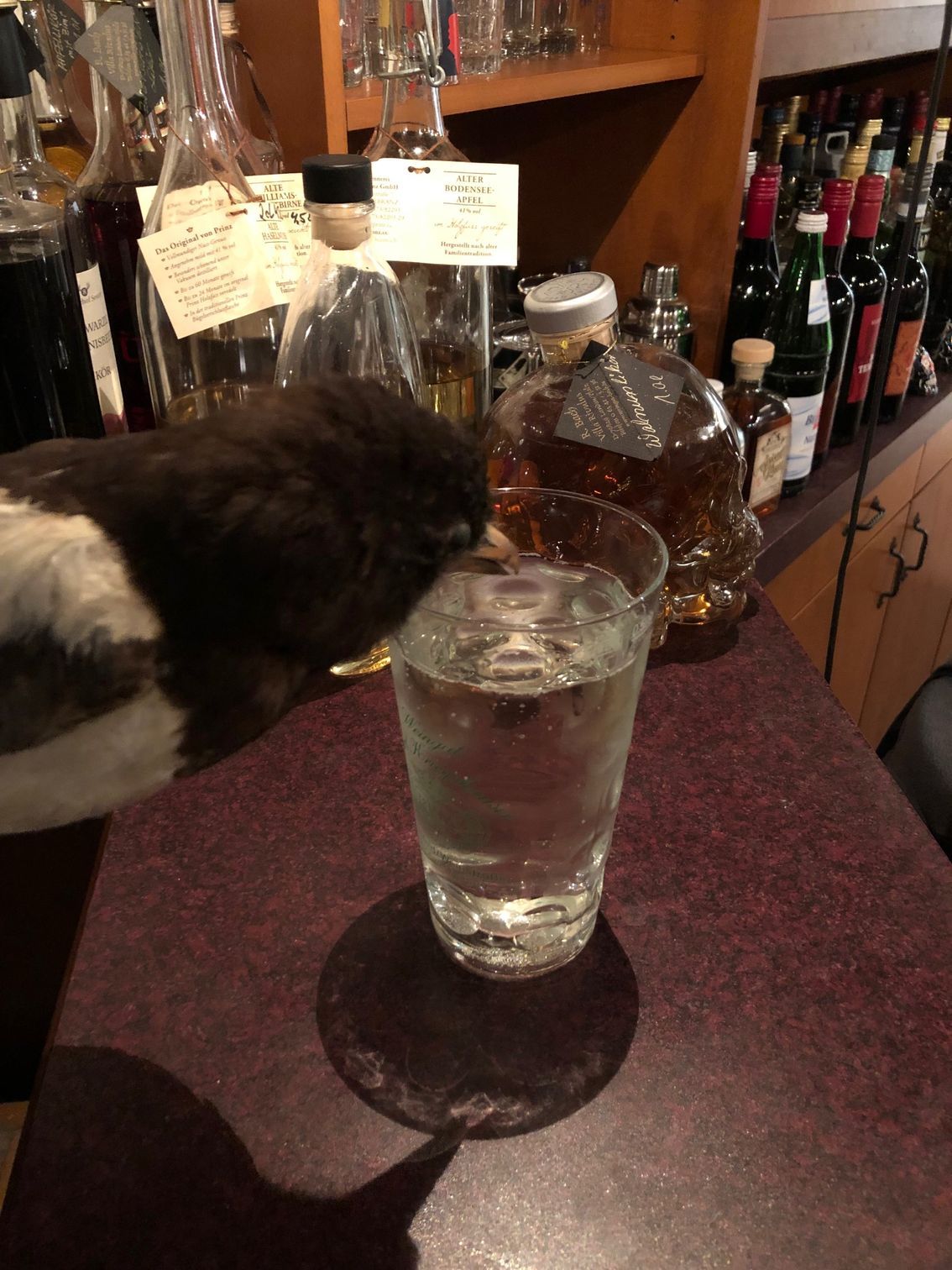 Schnäppchen gefällig