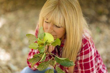 Frau riecht Apfelduft