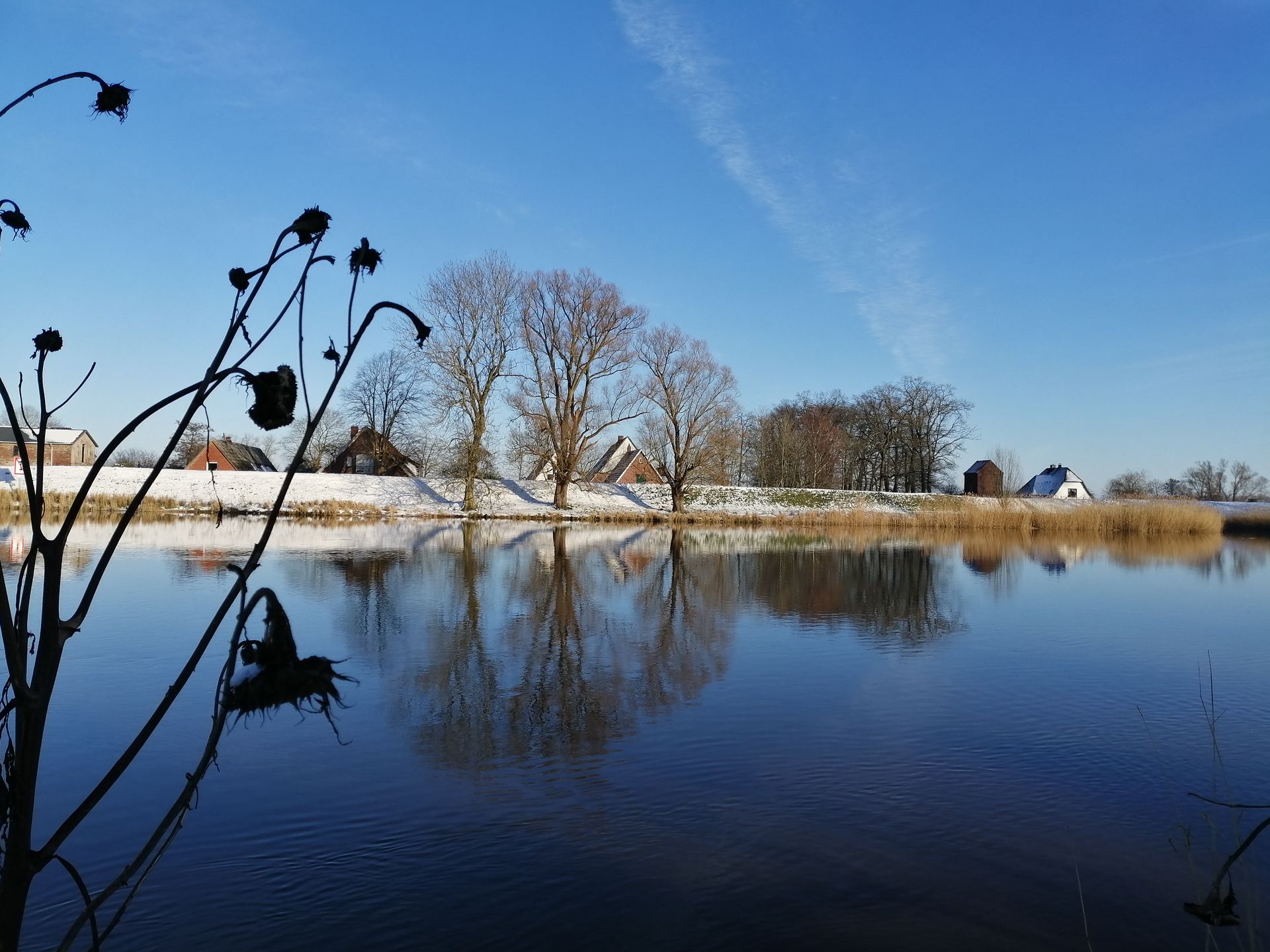 Flussgarten, Milchladen, Boddermelk, Oberndorf/Oste, Ferienhaus, Fewo