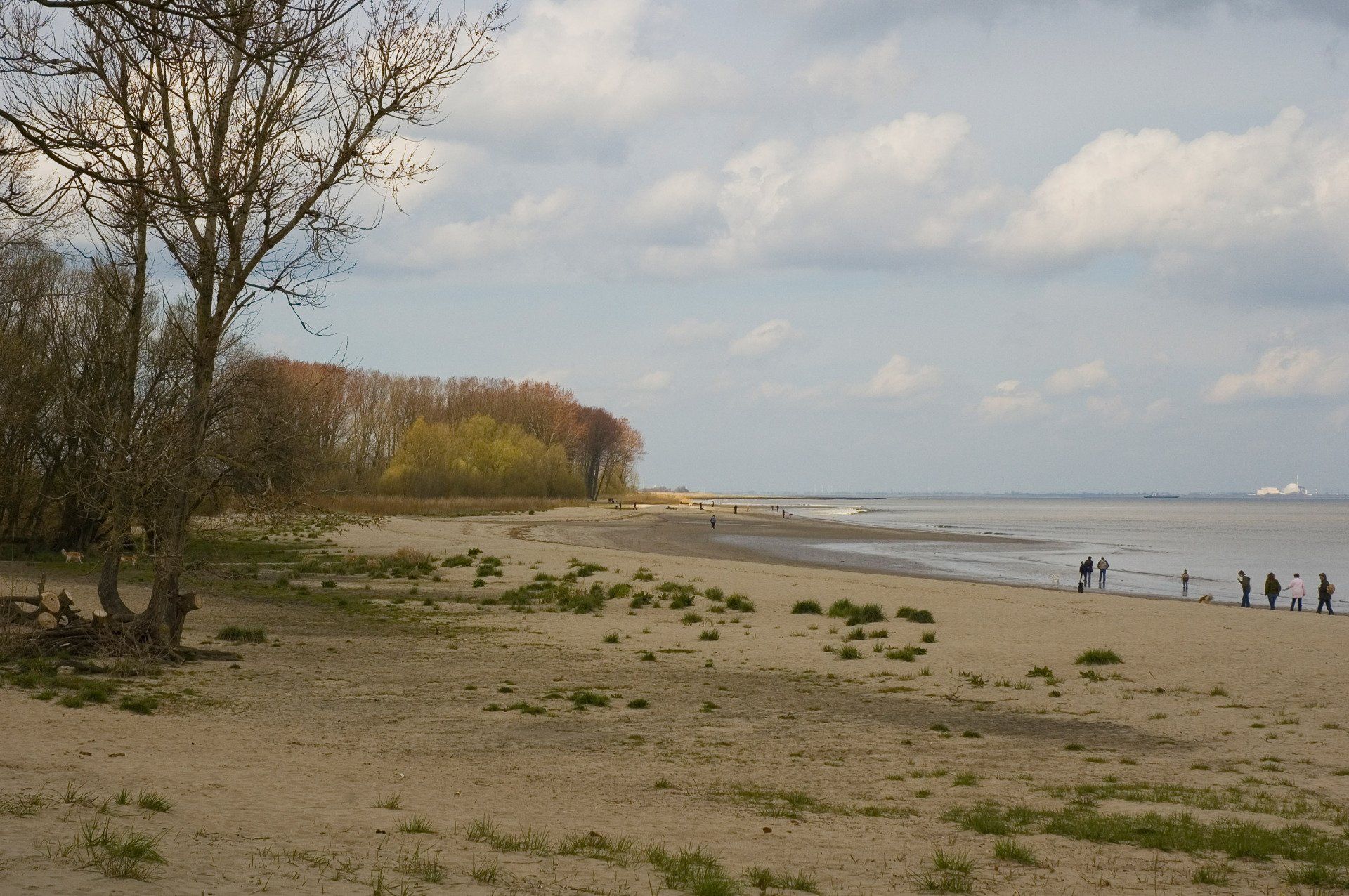 Elbe, Nierderelbe, Unterelbe, Drochtersen, Kehdinger Land, Ebbe, Flut