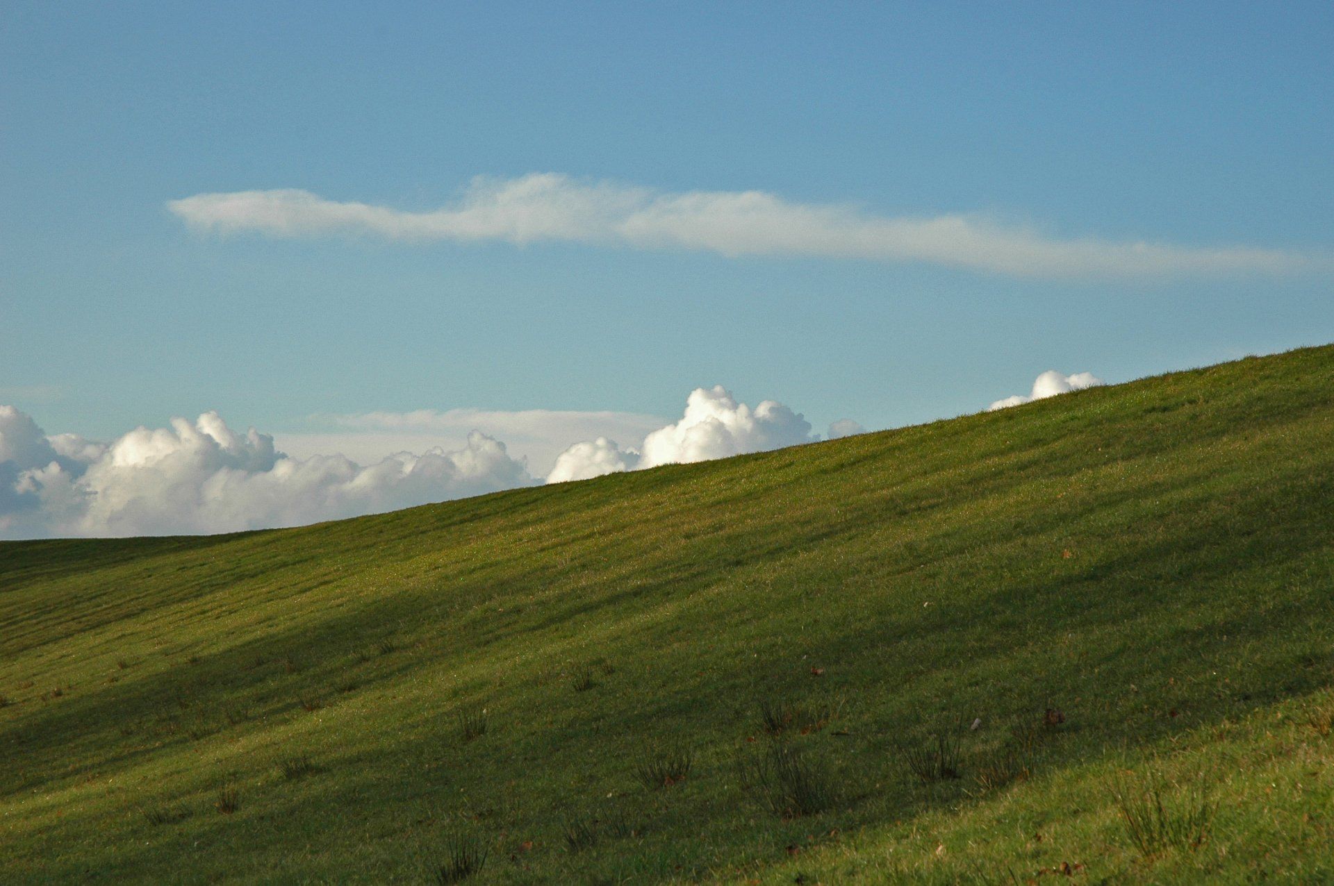 Elbe, Niederelbe, Unterelbe, Wurster Nordseeküste, Ebbe, Flut, Deichbau