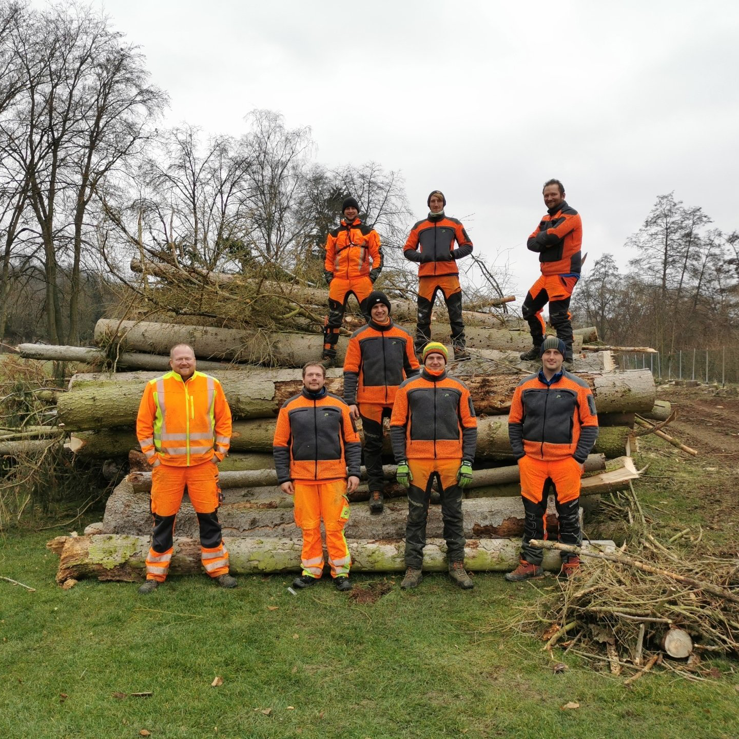Team Götz Baumpflege Team Götz Baumpflege