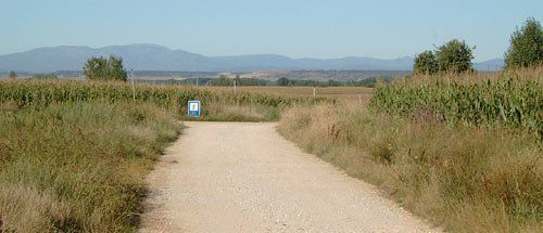 Weggabelung am Camino