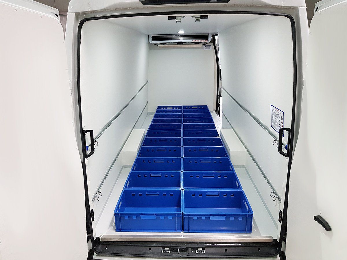 Iveco Daily Frischdienst Kühltransporter