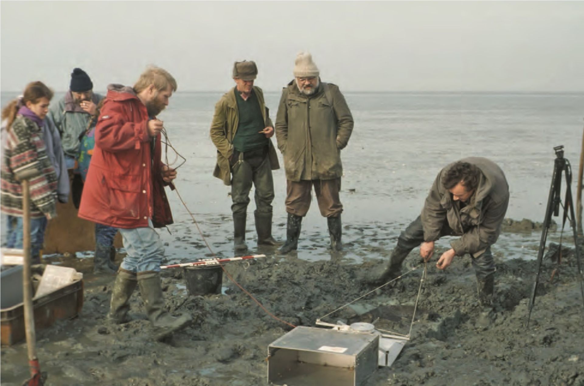 Die entwicklung der Marschenlandschaft