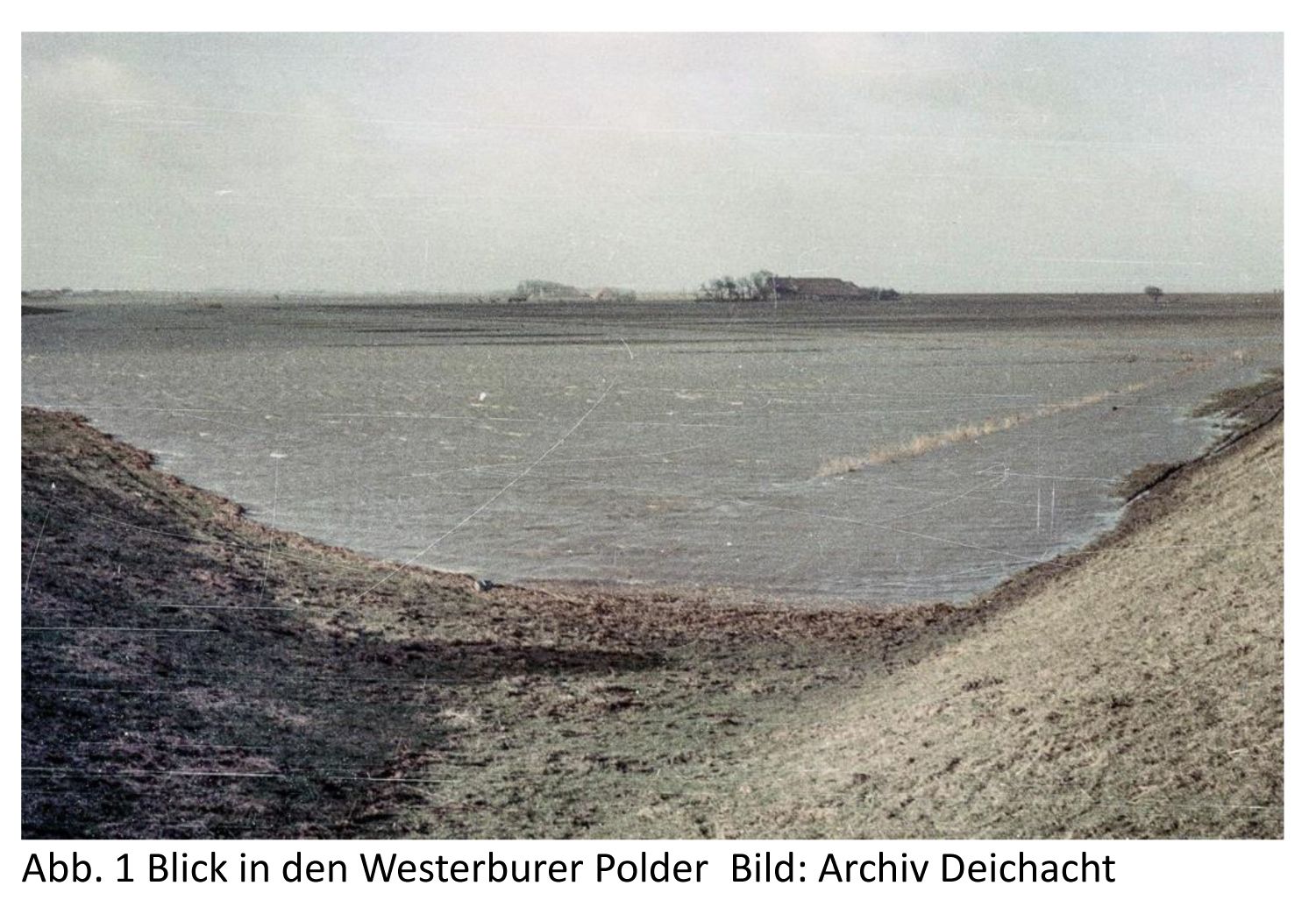 Blick in den Westerburer Polder nach der Sturmflut 1962