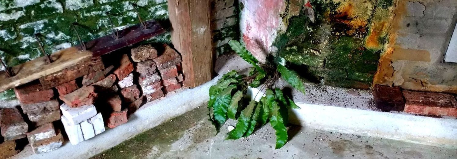 Denkmalschutz Naturschutz