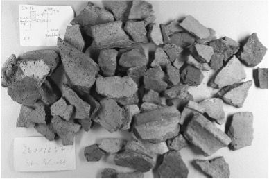 Abb. 4  
Streufunde frühmittelalterlicher 
Muschelgrusware aus Strackholt, Ldkr. Leer.