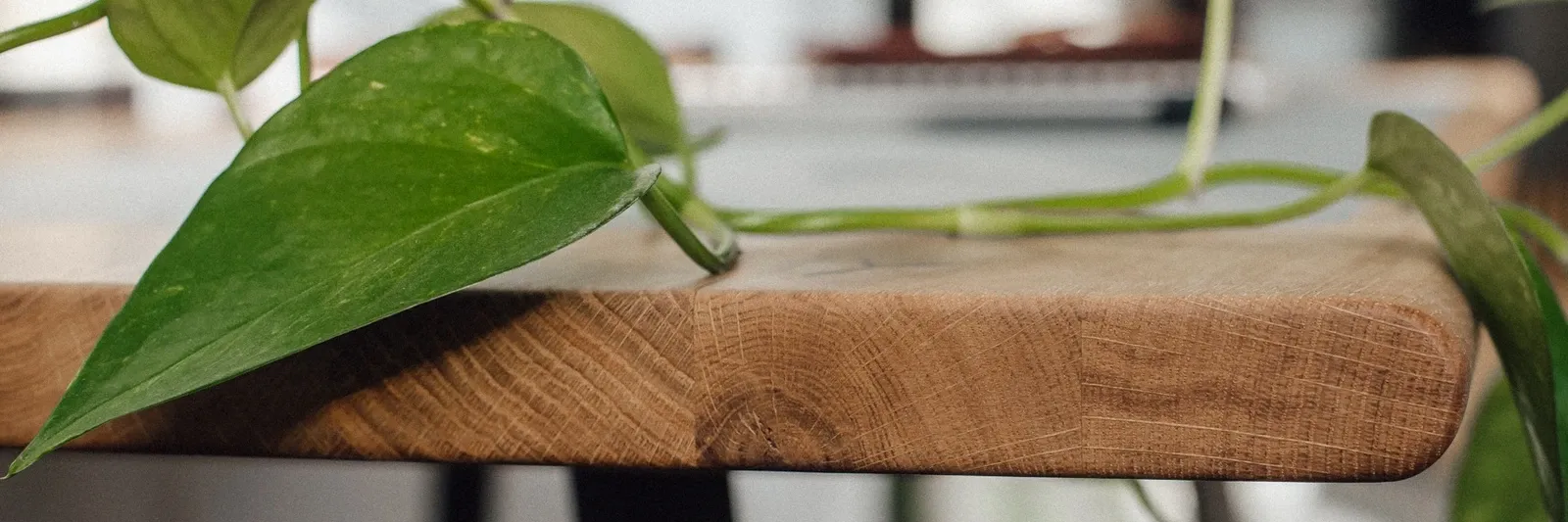 Besonders Nachhaltig: Wir fertigen deine individuellen Massivholzmöbel nur auf Anfrage bzw. nach Bestellung, so werden die Ressourcen geschont