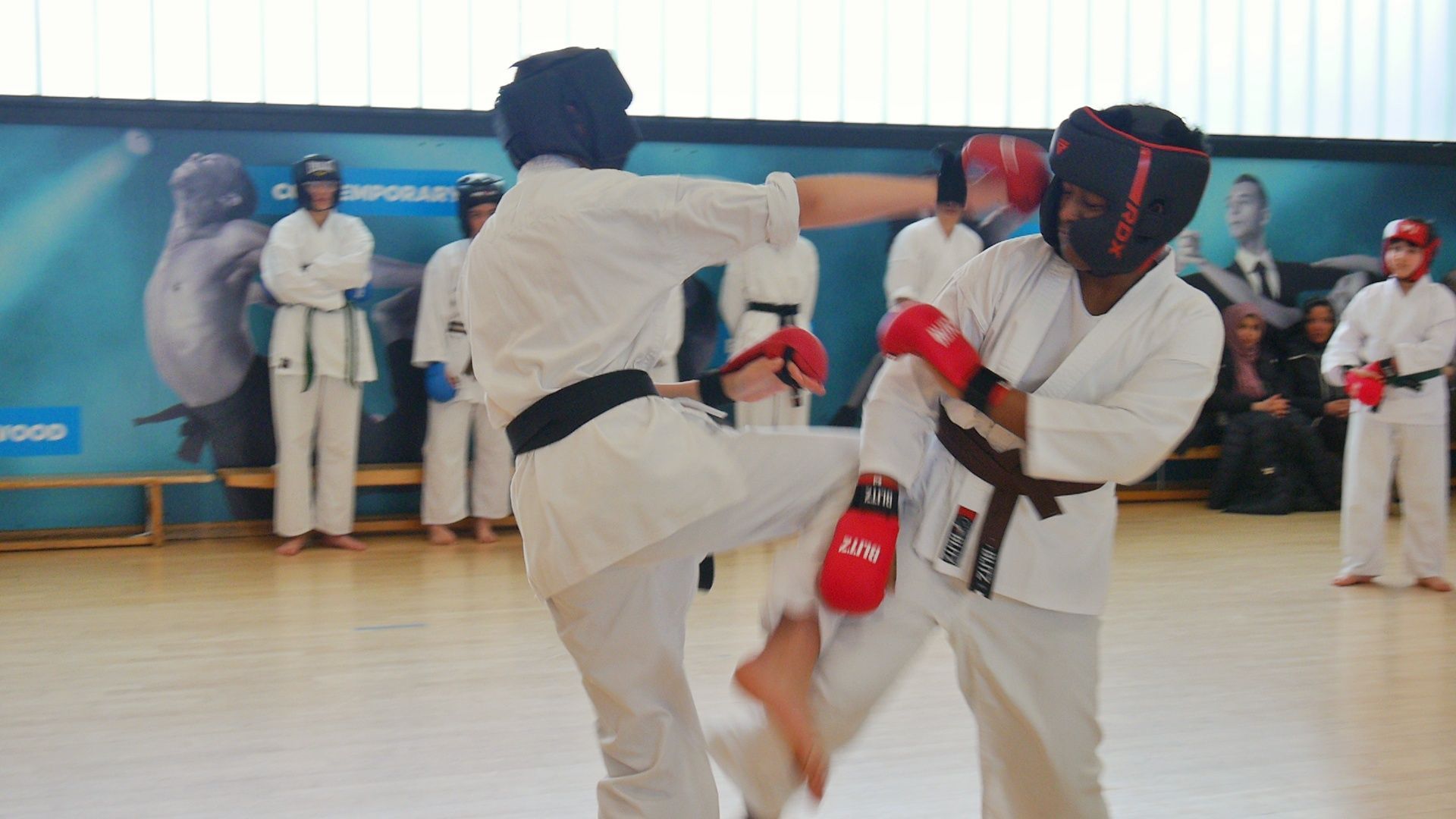 What Is Sensei in Karate