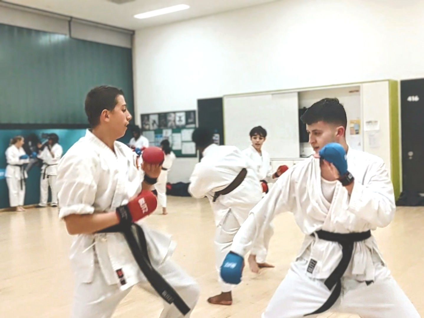 basics number three at our dojo