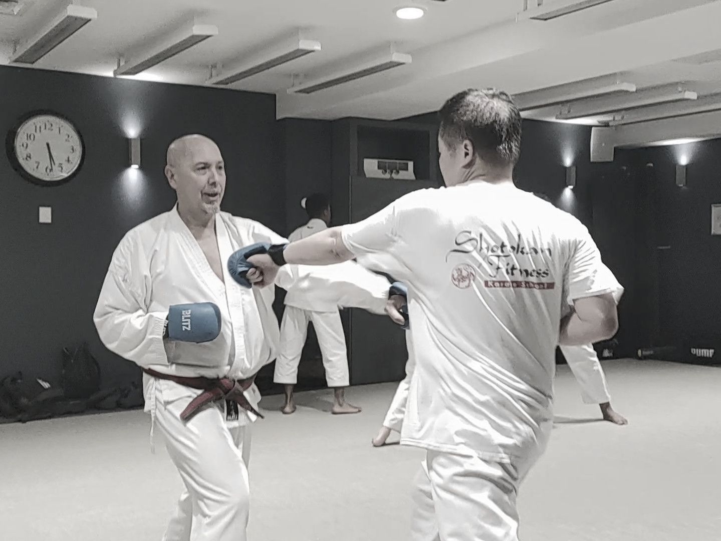 Karate basics techniques explained