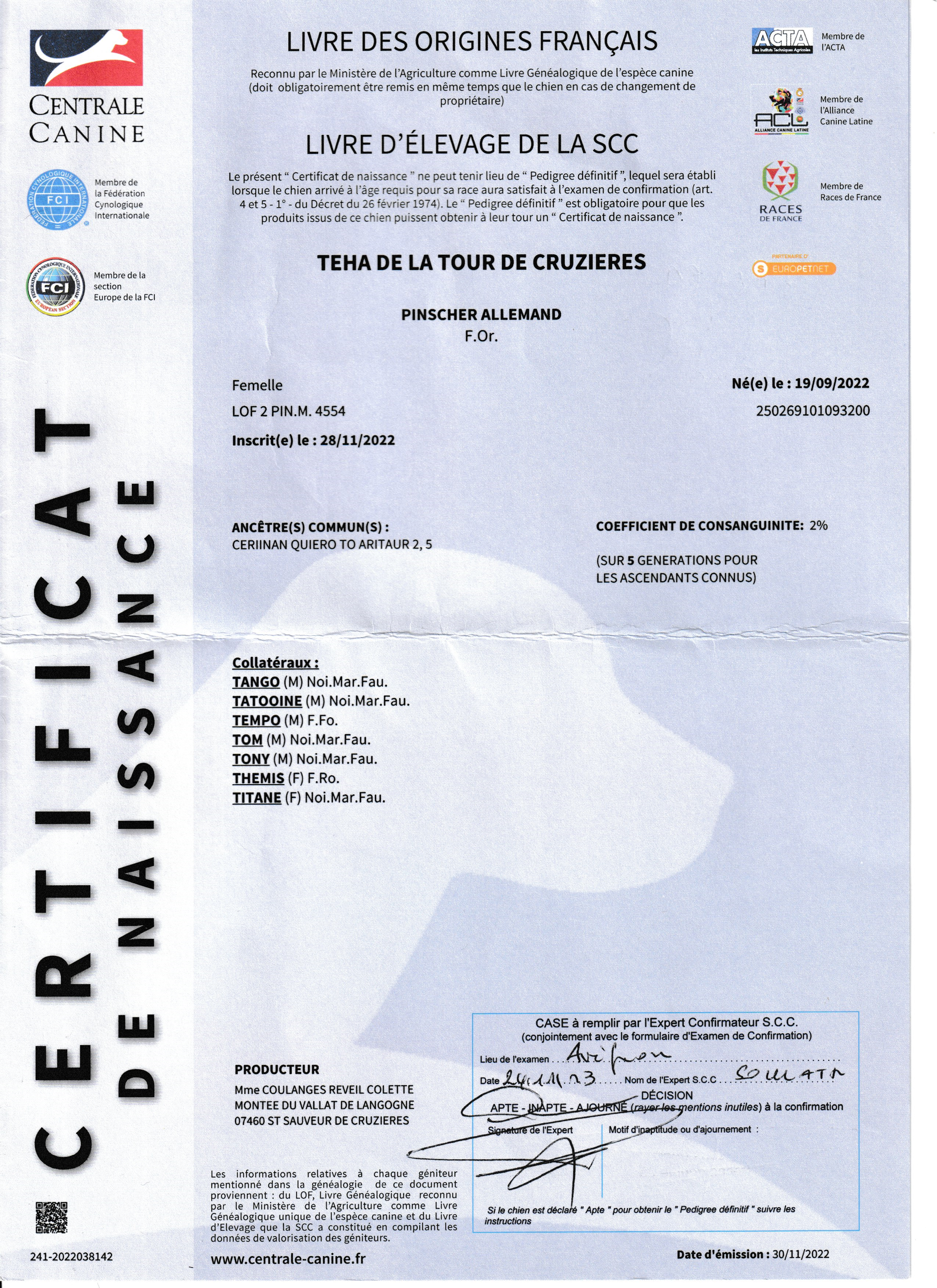 CERTIFICAT DE NAISSANCE