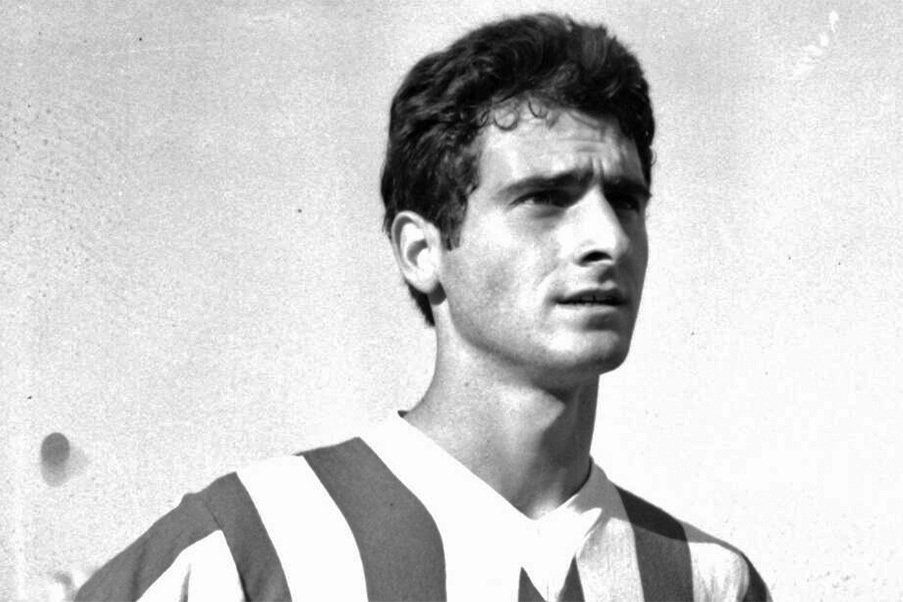 Vassilis Botinos Vassilis Botinos