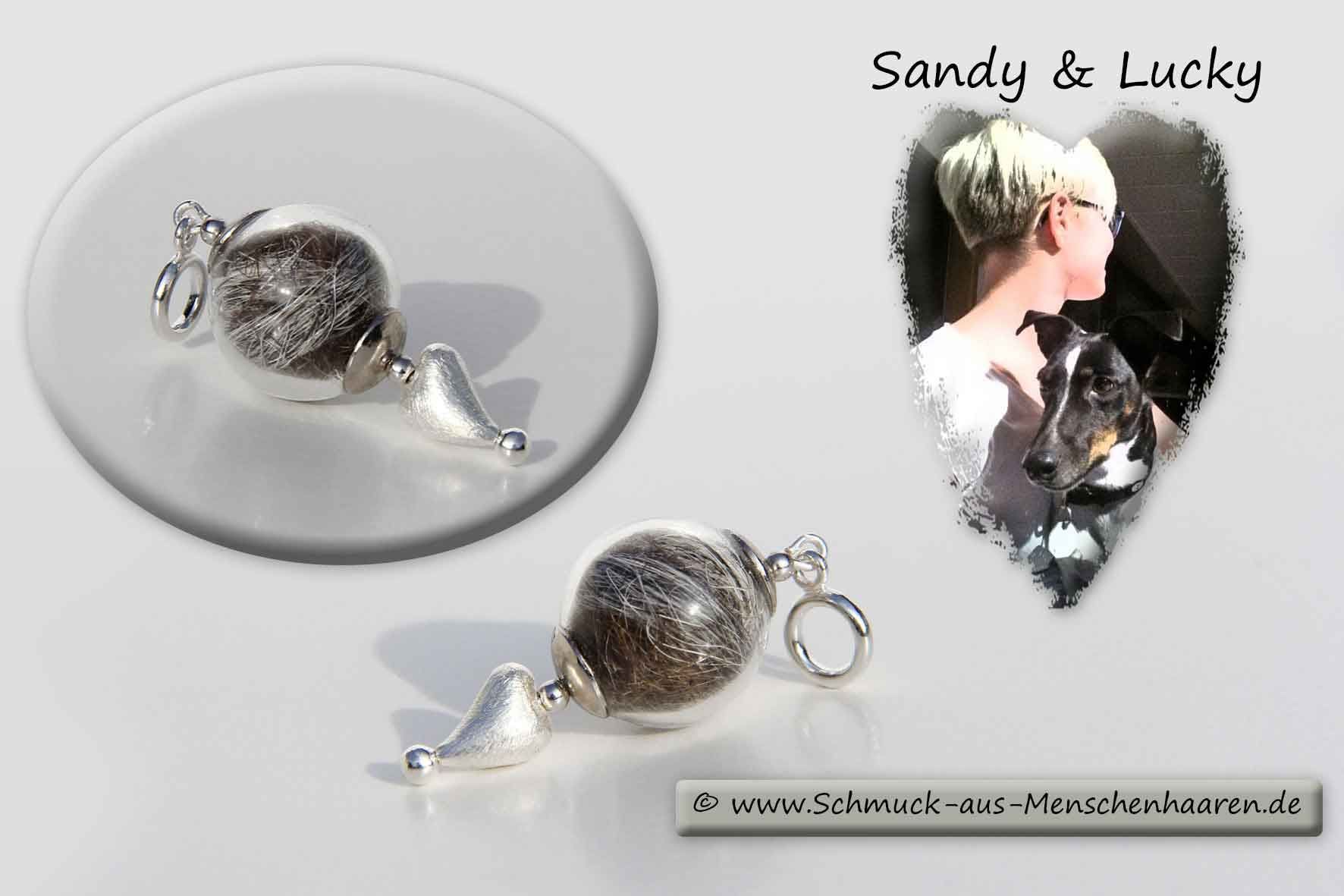 Schmuck mit Haaren Hund und Frauchen